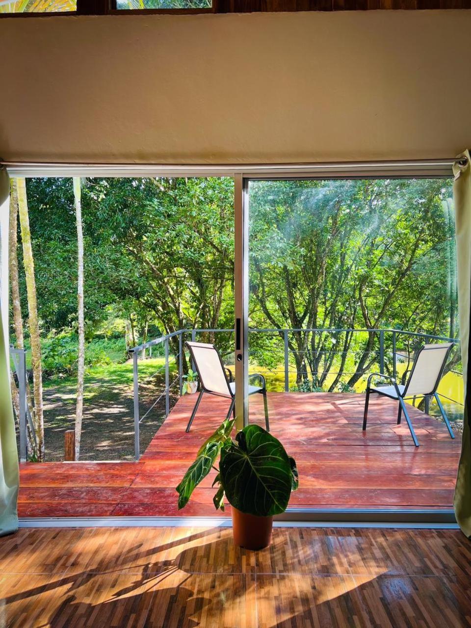 Ficus House Apartment Boca Tapada ภายนอก รูปภาพ