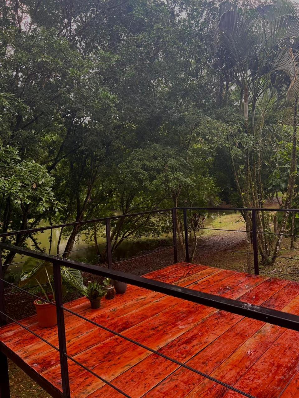 Ficus House Apartment Boca Tapada ภายนอก รูปภาพ