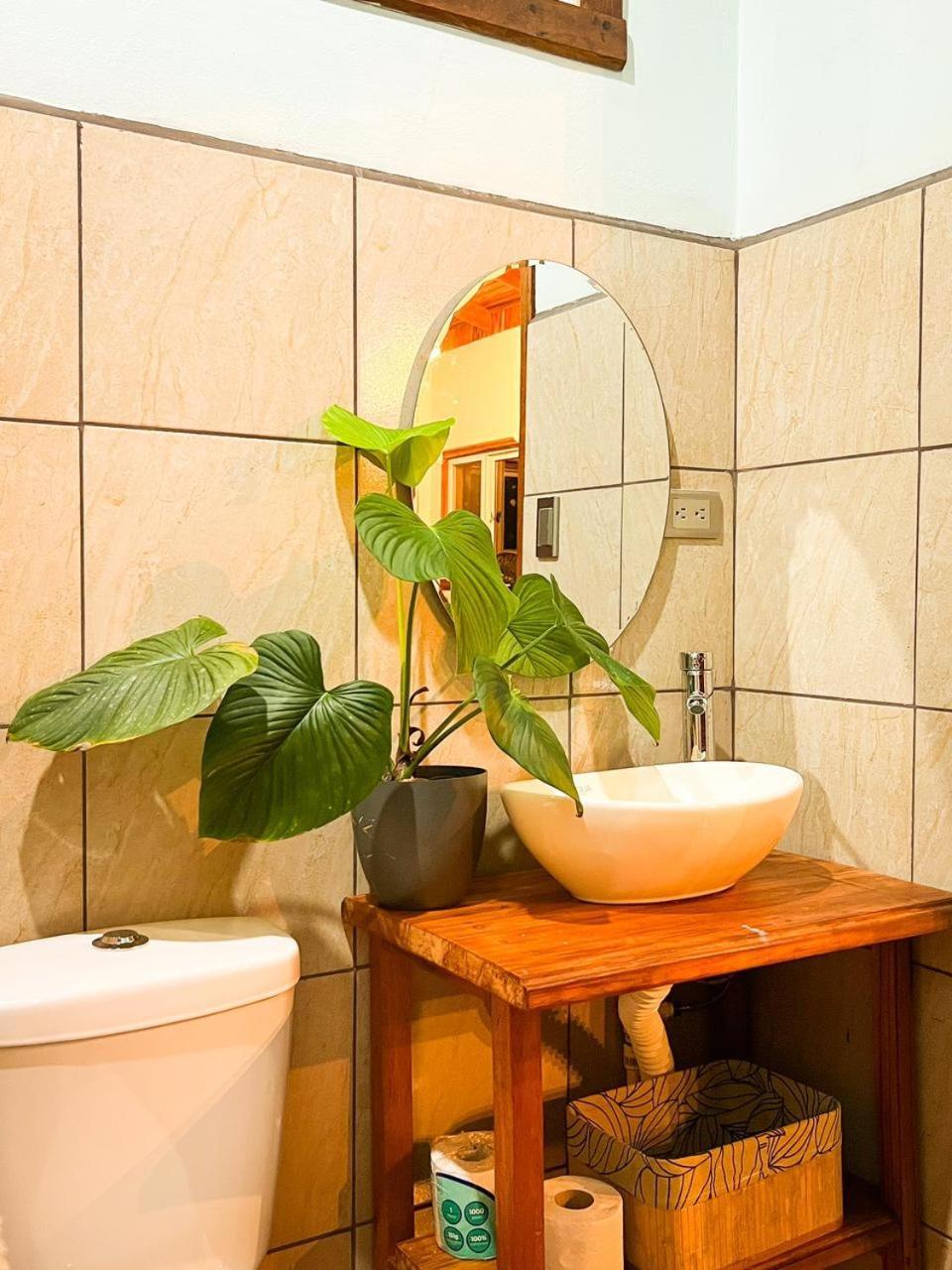 Ficus House Apartment Boca Tapada ภายนอก รูปภาพ
