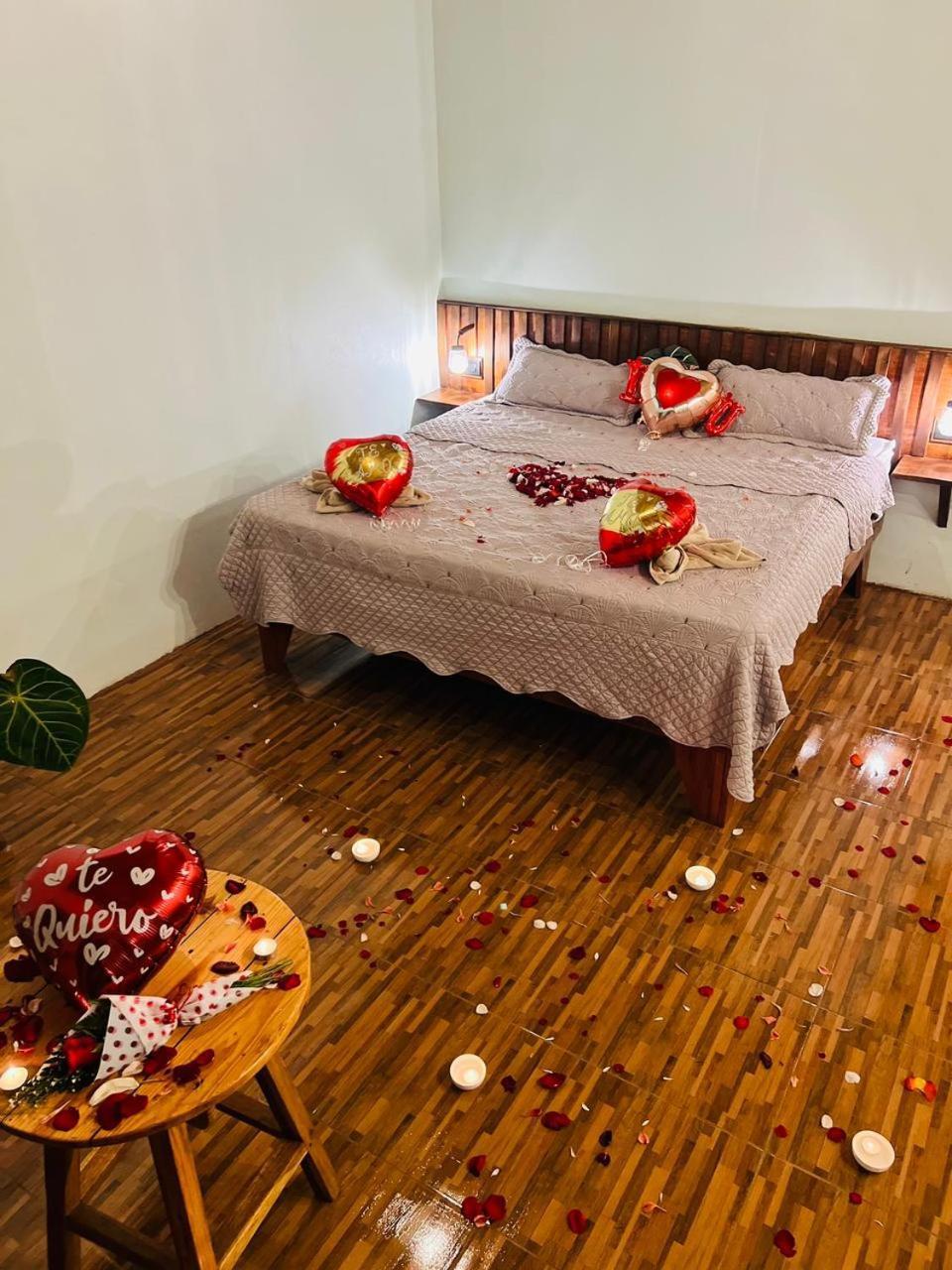 Ficus House Apartment Boca Tapada ภายนอก รูปภาพ